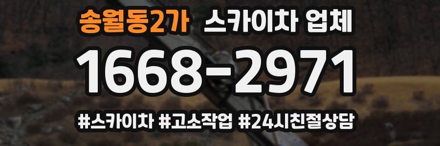 송월동2가 스카이차 업체