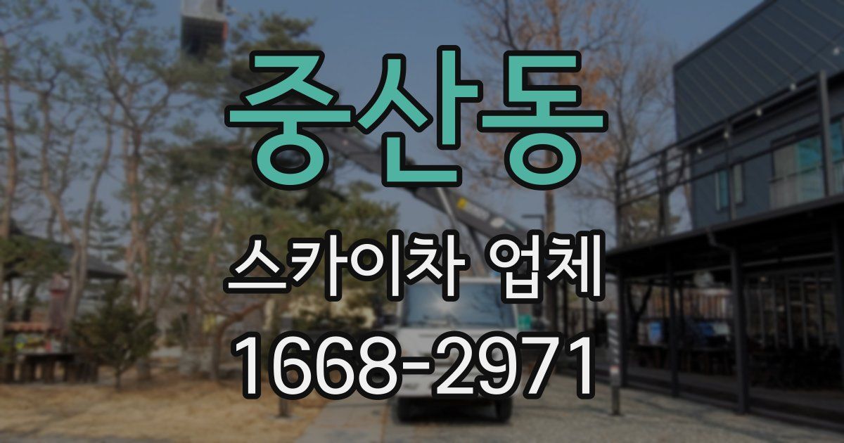 중산동 스카이차 업체