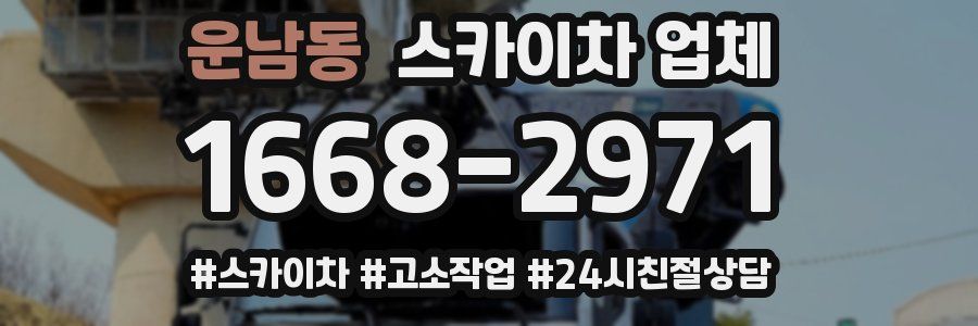 운남동 스카이차 업체