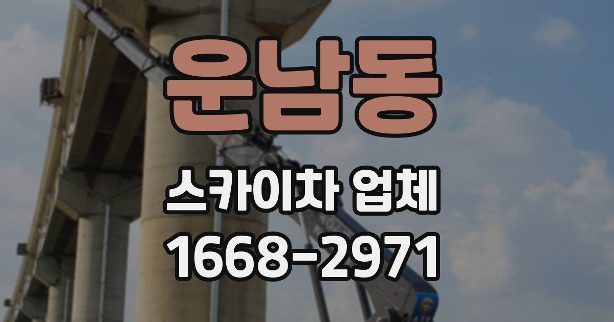 운남동 스카이차 업체