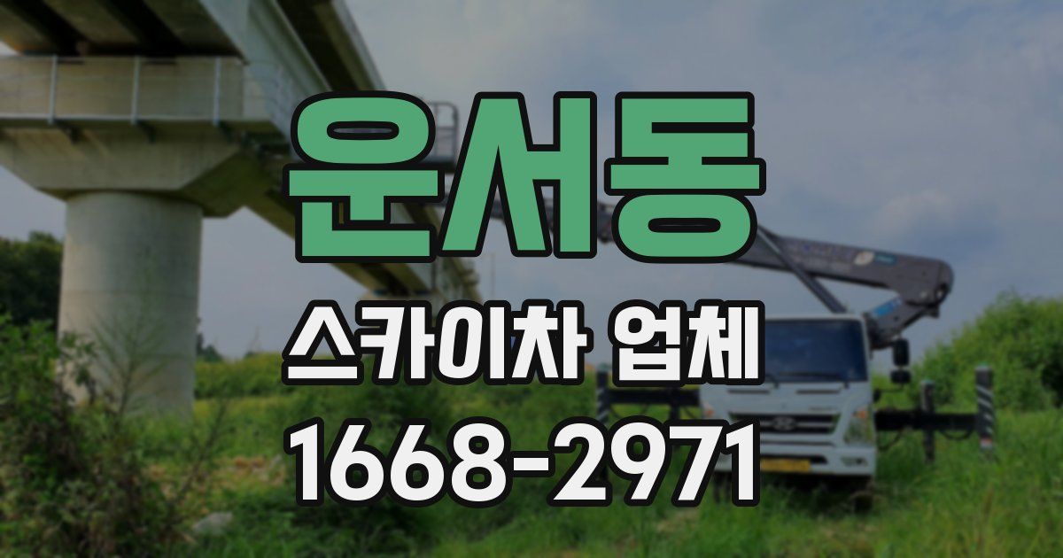 운서동 스카이차 업체