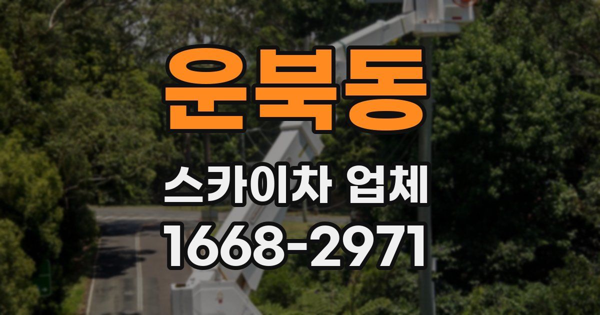운북동 스카이차 업체