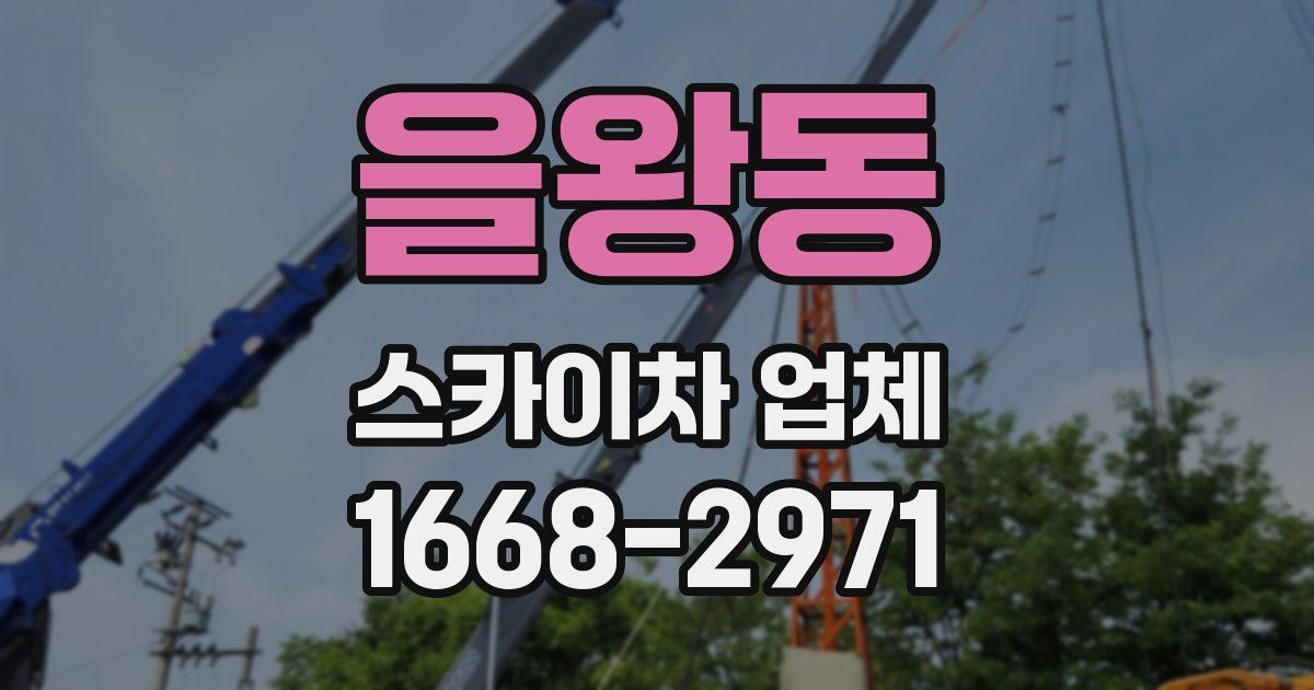 을왕동 스카이차 업체