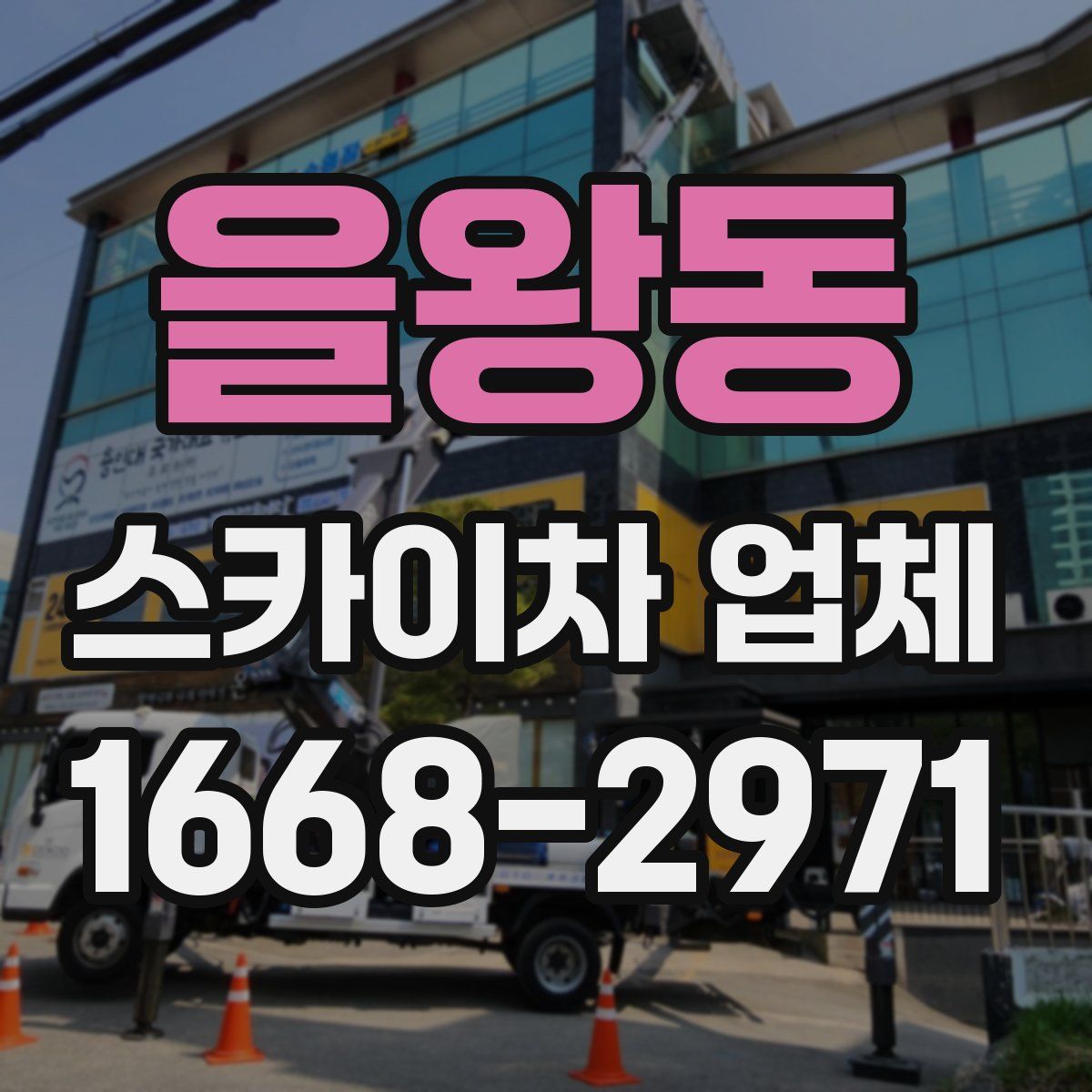 을왕동 스카이차 업체