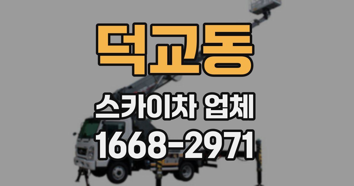 덕교동 스카이차 업체