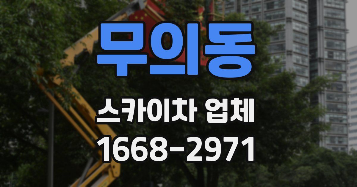 무의동 스카이차 업체
