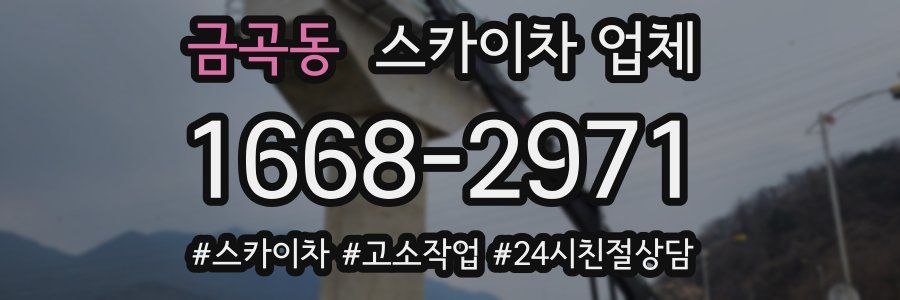 금곡동 스카이차 업체