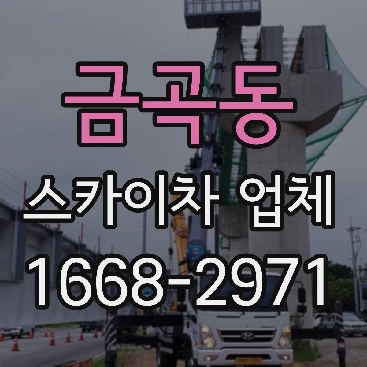 금곡동 스카이차 업체