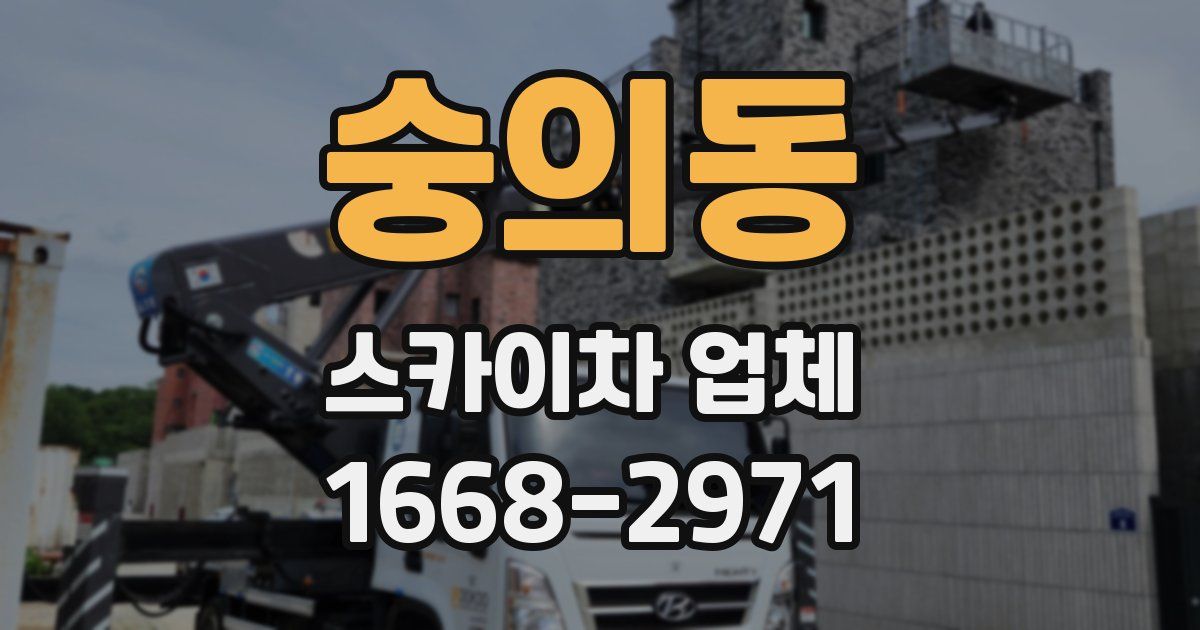 숭의동 스카이차 업체