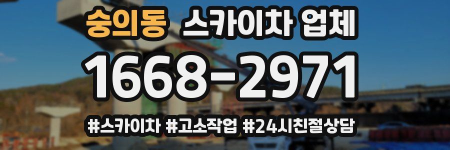 숭의동 스카이차 업체