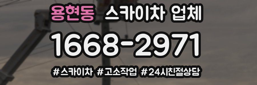 용현동 스카이차 업체