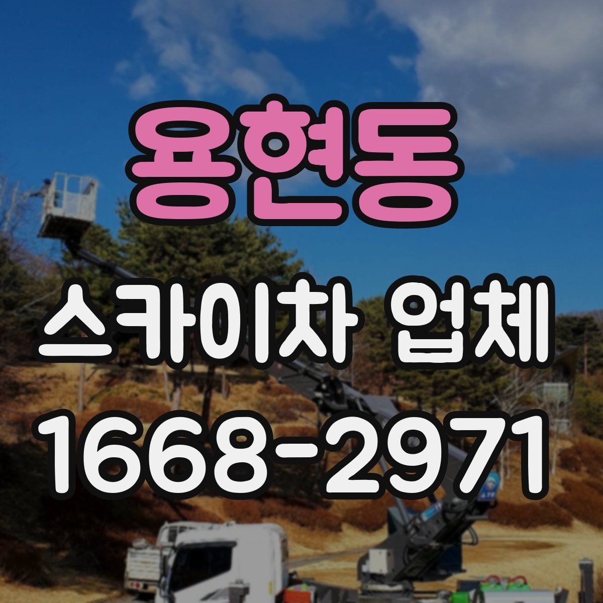 용현동 스카이차 업체