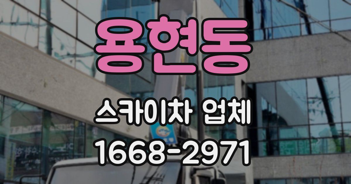 용현동 스카이차 업체