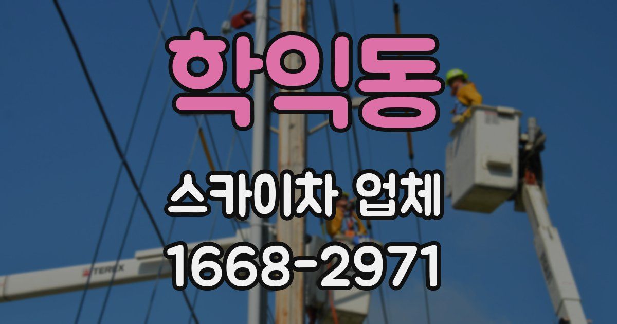 학익동 스카이차 업체