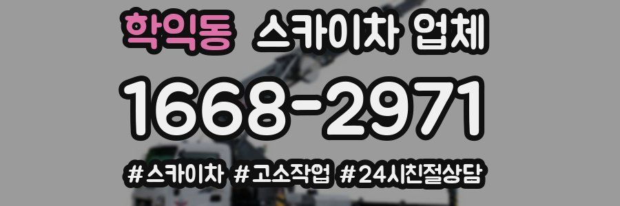 학익동 스카이차 업체