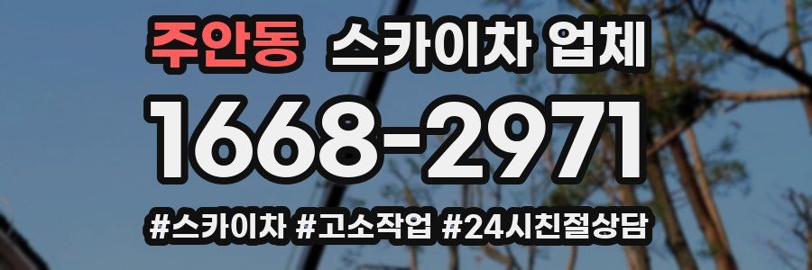 주안동 스카이차 업체