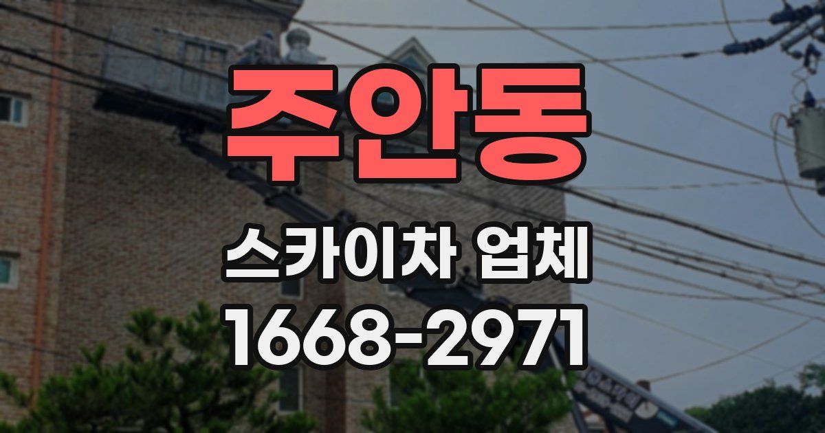 주안동 스카이차 업체