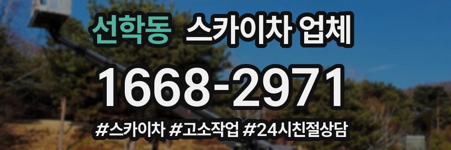 선학동 스카이차 업체