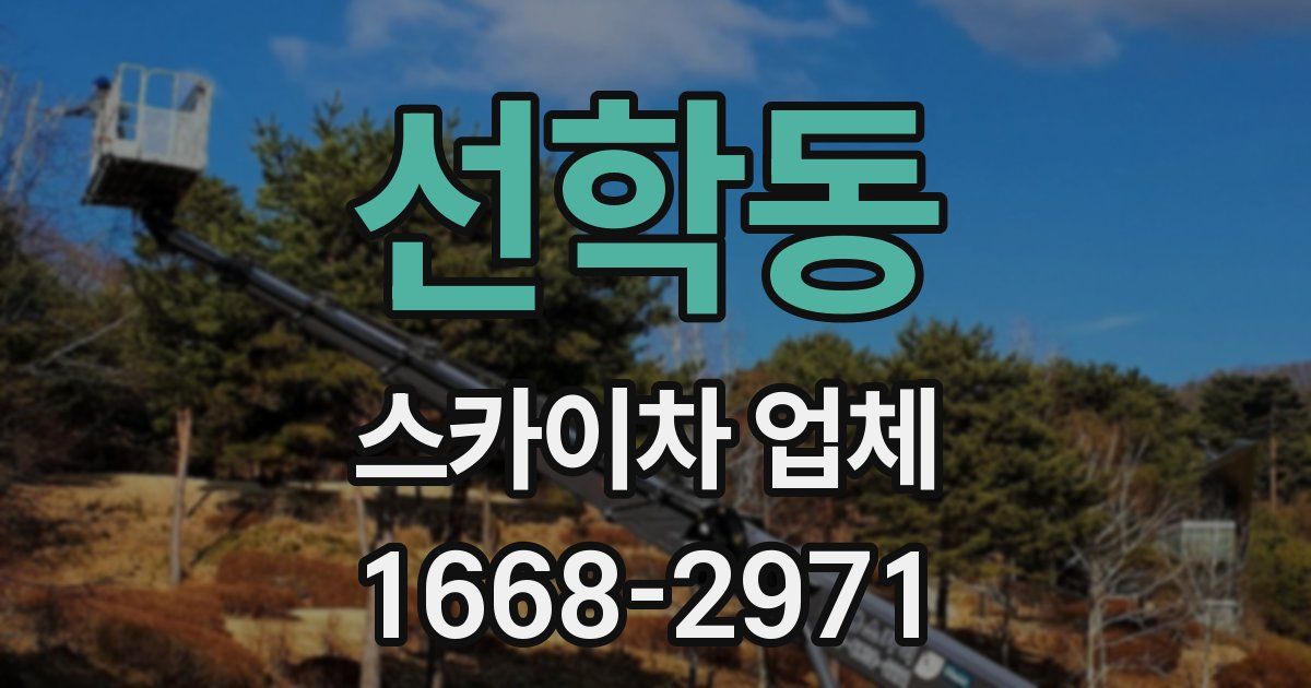 선학동 스카이차 업체