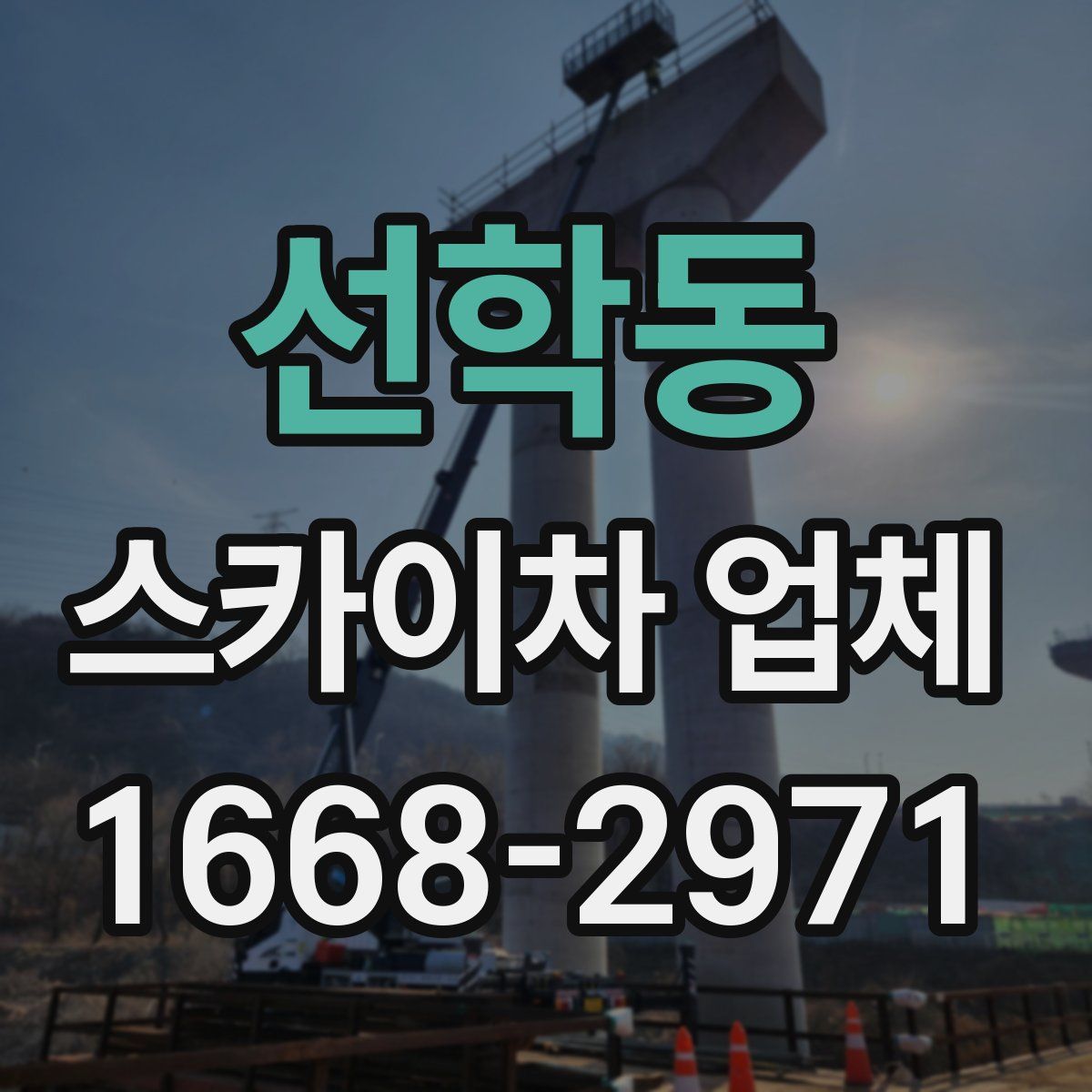 선학동 스카이차 업체