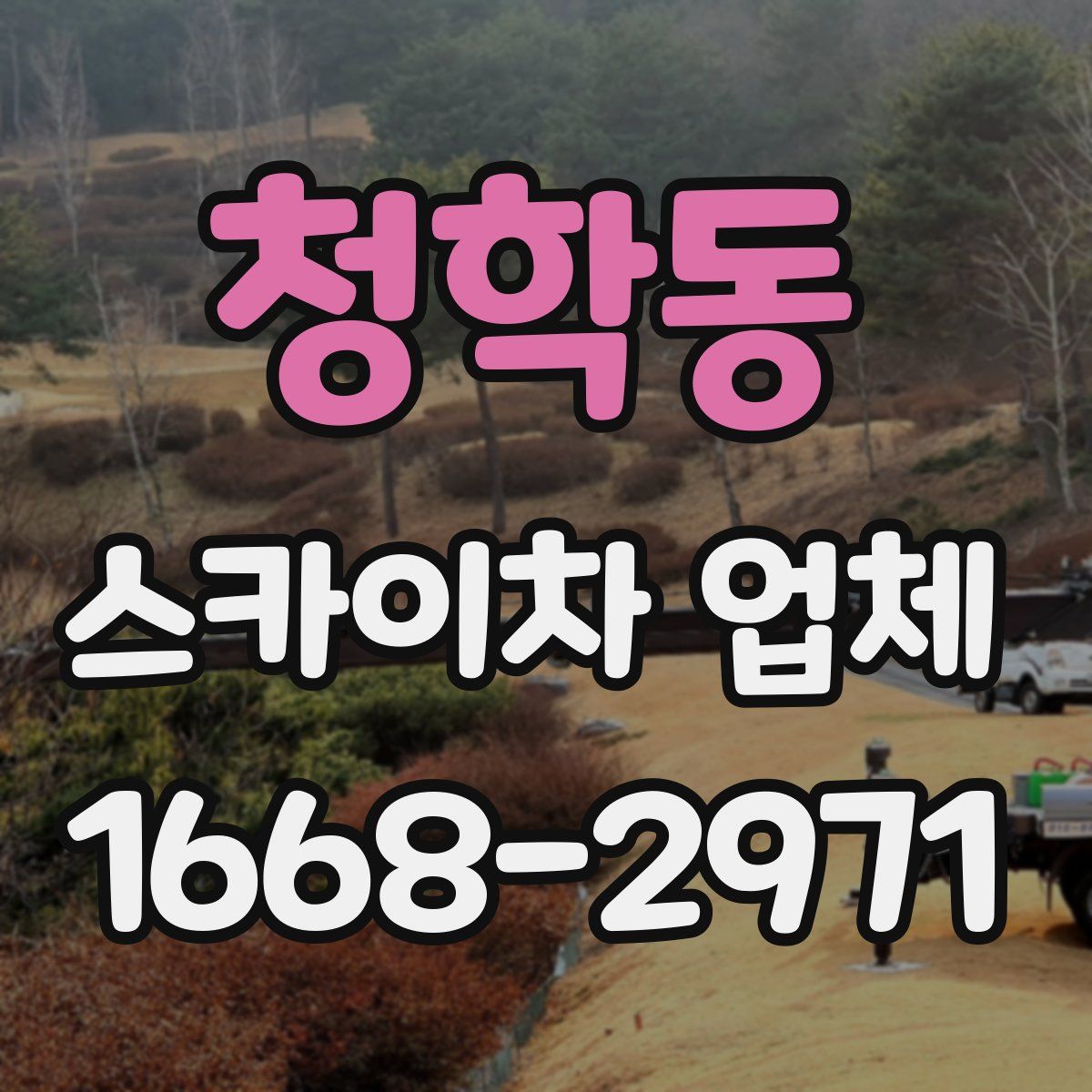 청학동 스카이차 업체