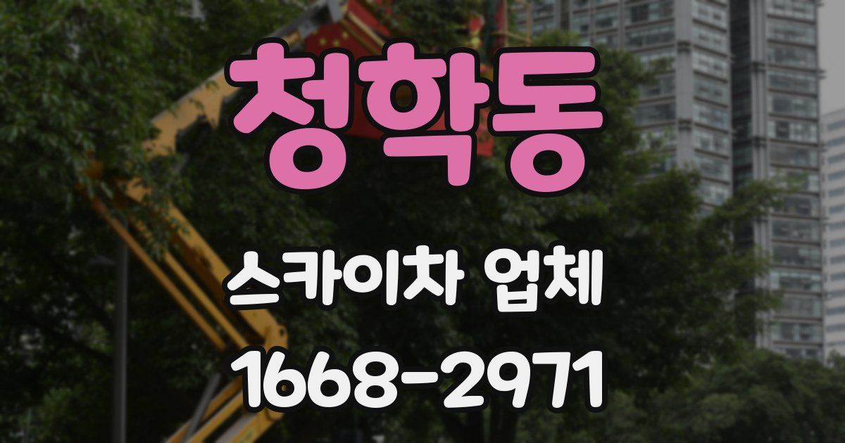 청학동 스카이차 업체