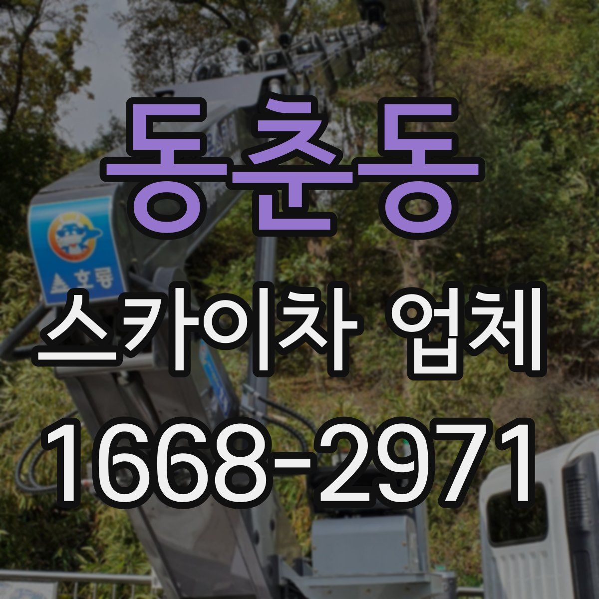 동춘동 스카이차 업체