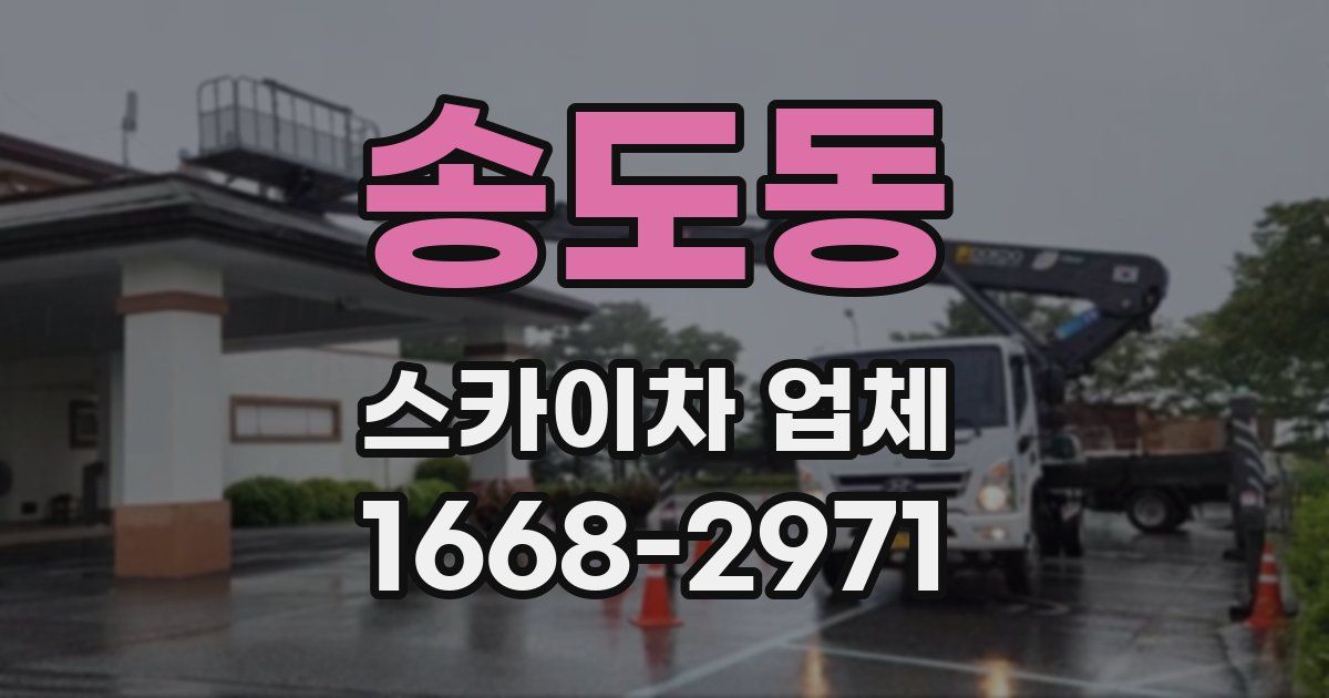 송도동 스카이차 업체