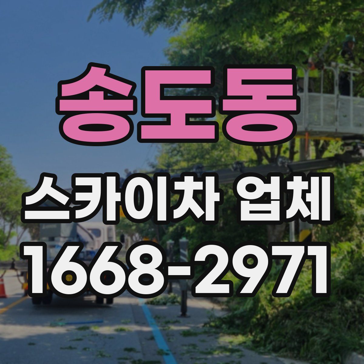 송도동 스카이차 업체