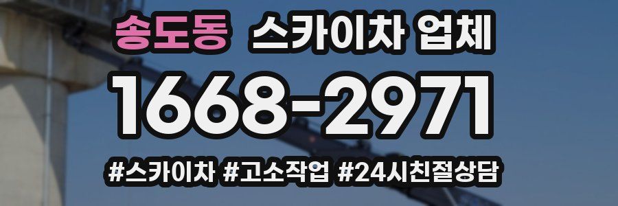 송도동 스카이차 업체