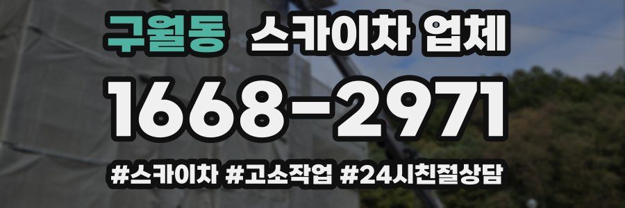 구월동 스카이차 업체