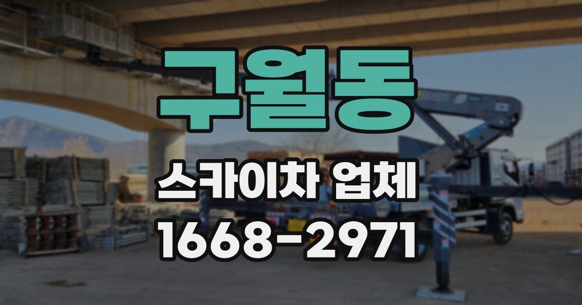 구월동 스카이차 업체