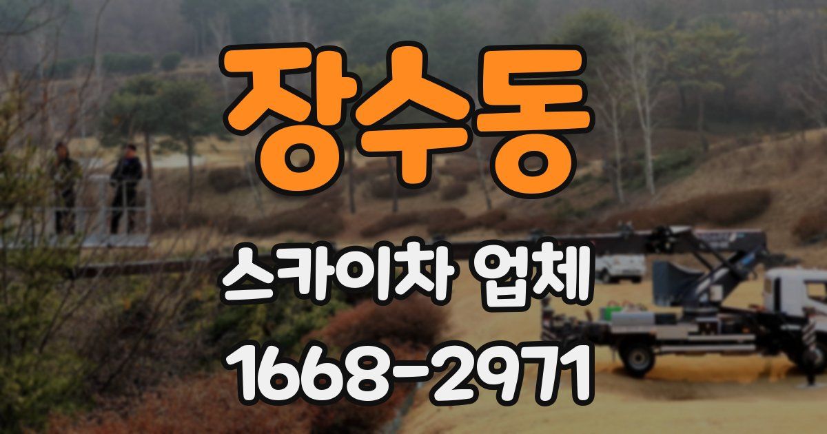 장수동 스카이차 업체