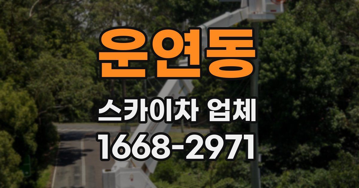 운연동 스카이차 업체