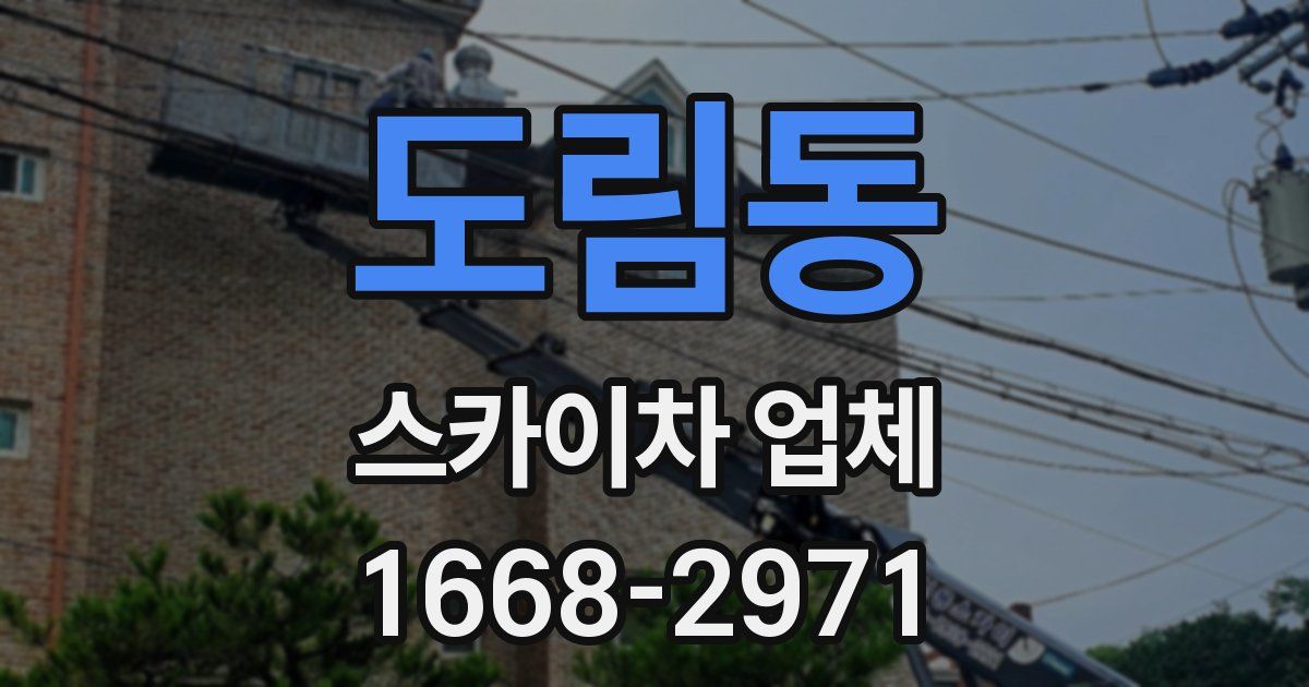 도림동 스카이차 업체