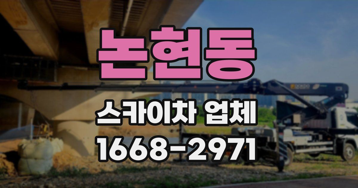 논현동 스카이차 업체