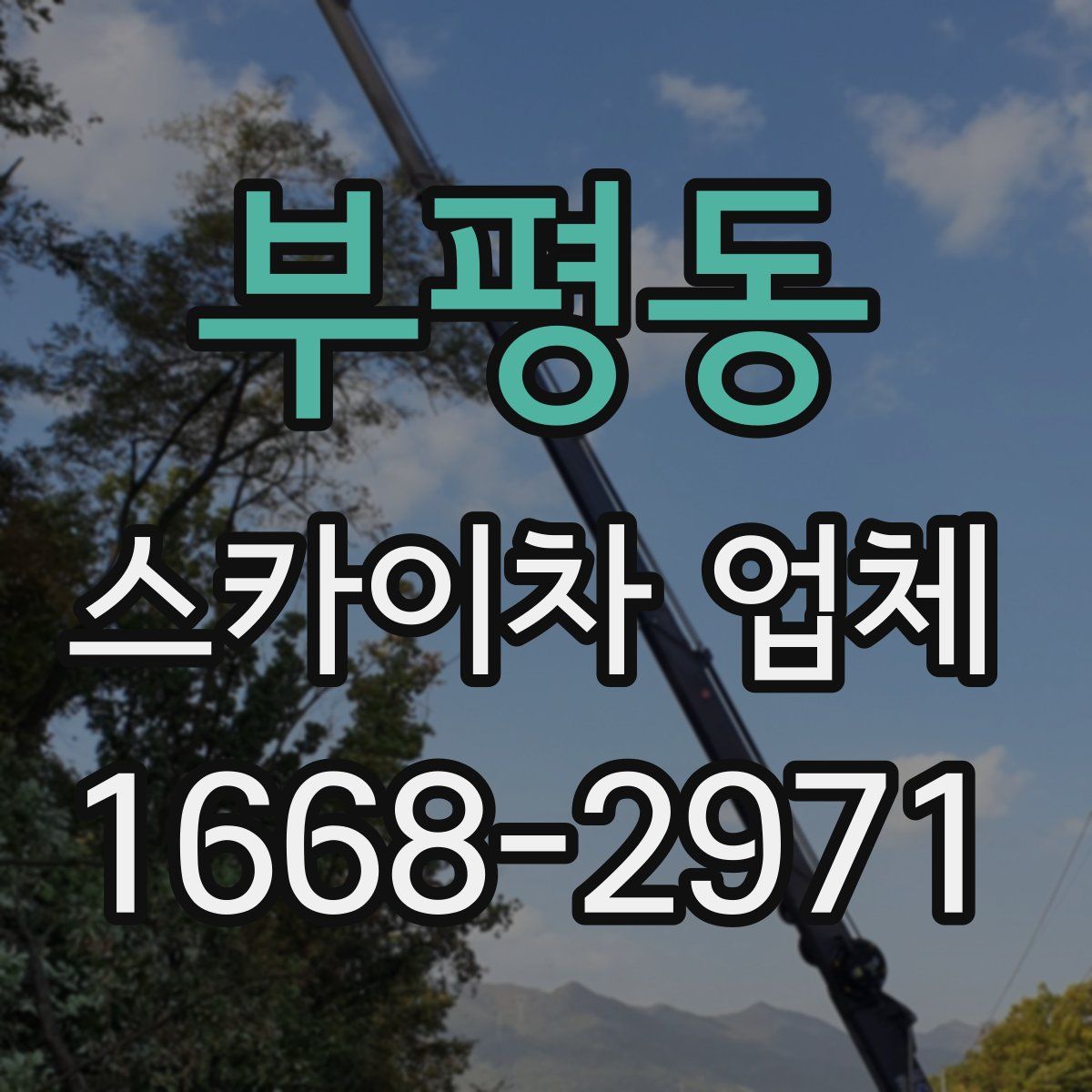 부평동 스카이차 업체