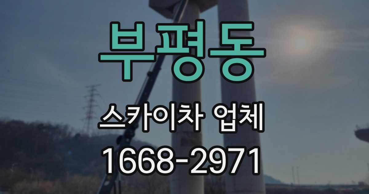 부평동 스카이차 업체
