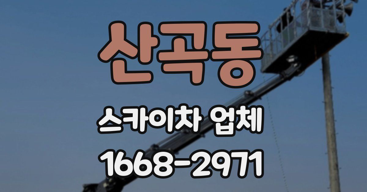 산곡동 스카이차 업체