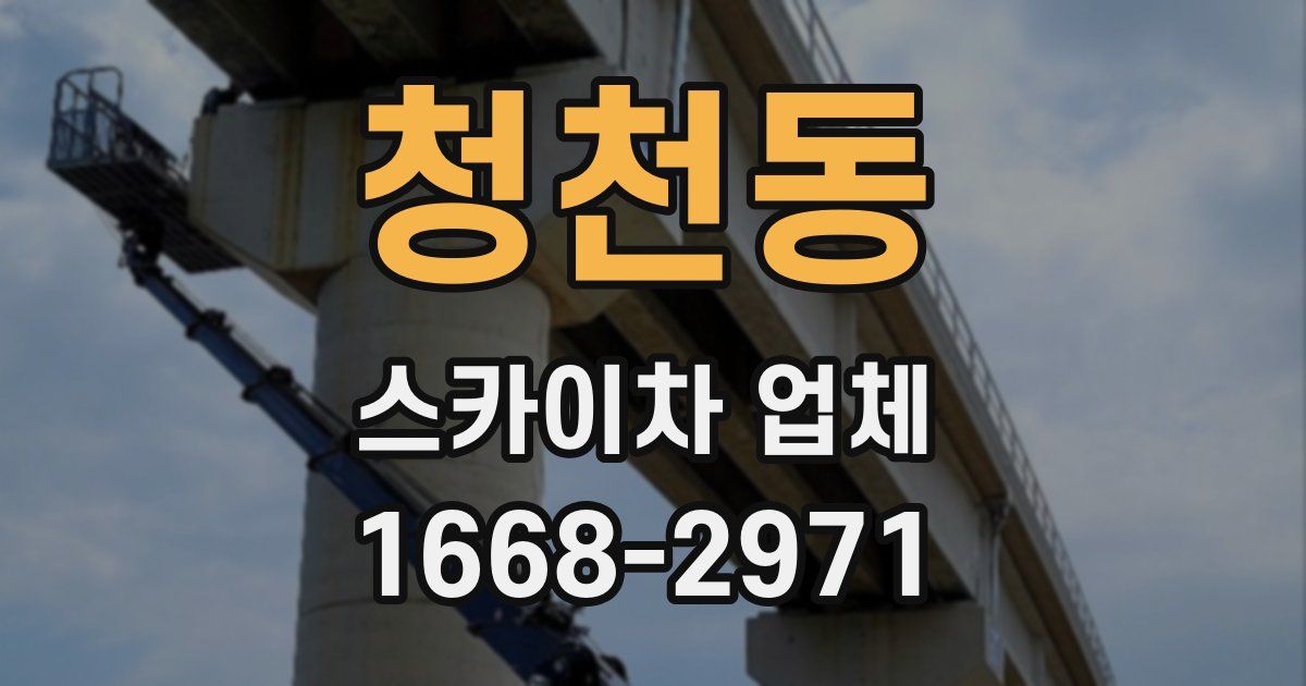 청천동 스카이차 업체