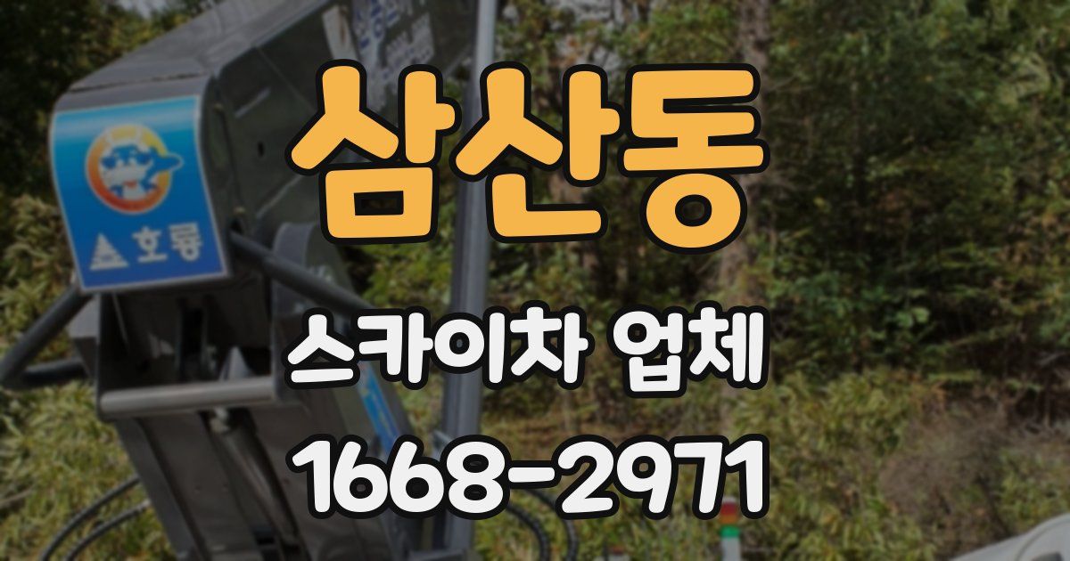 삼산동 스카이차 업체