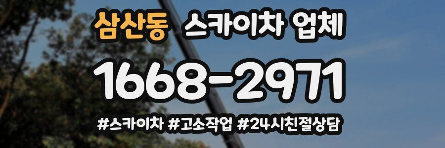 삼산동 스카이차 업체