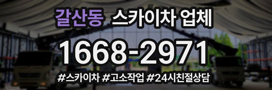 갈산동 스카이차 업체