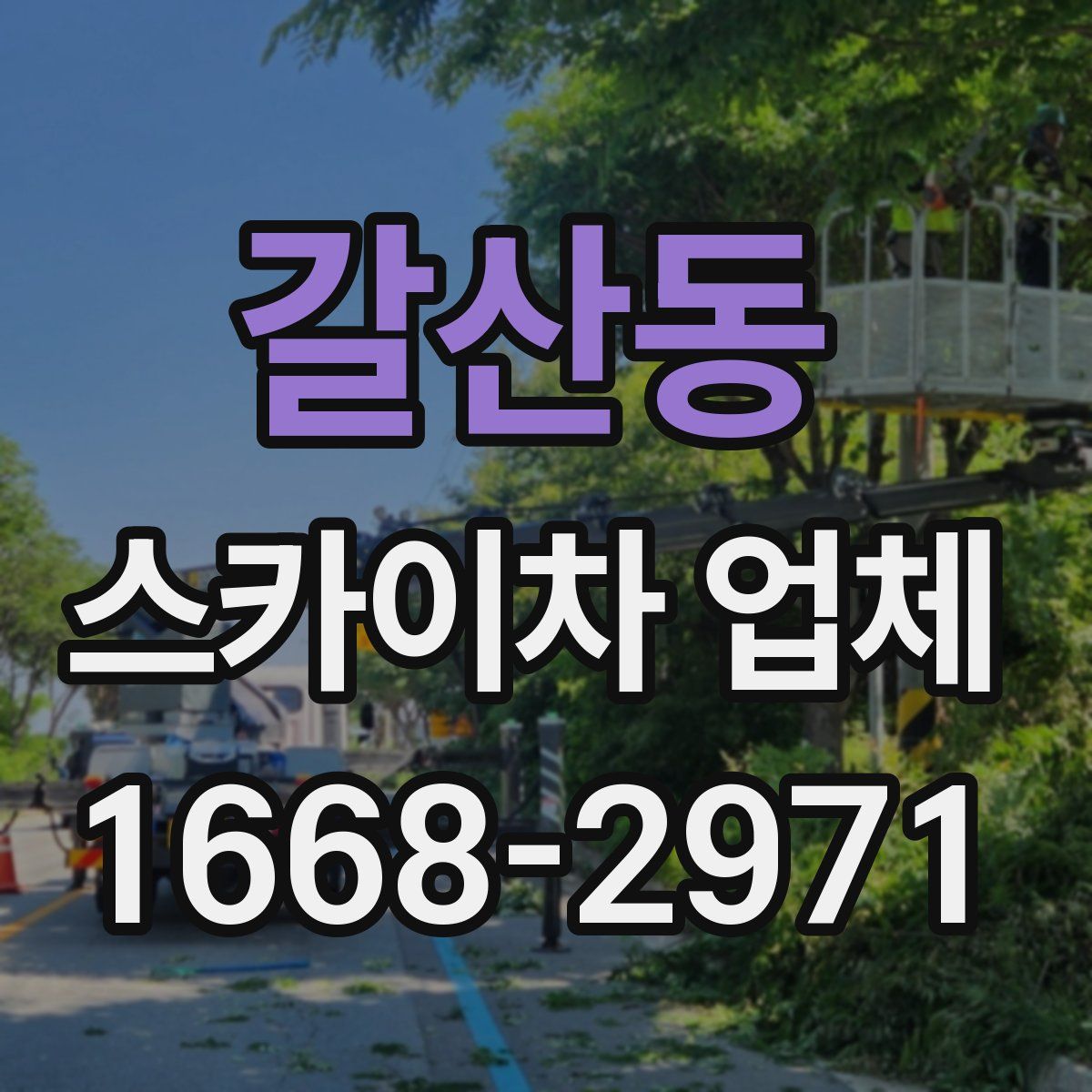 갈산동 스카이차 업체