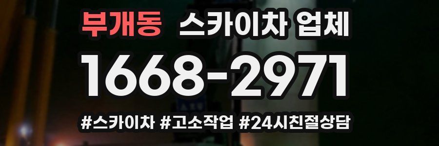 부개동 스카이차 업체