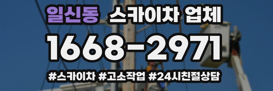 일신동 스카이차 업체