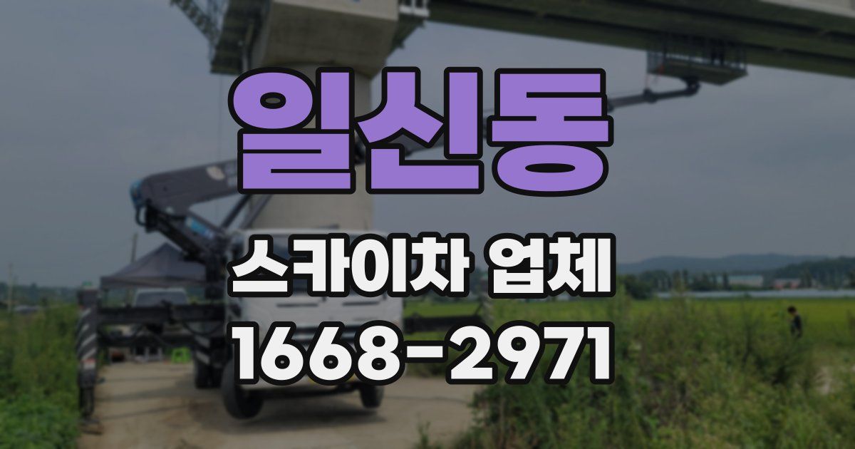 일신동 스카이차 업체
