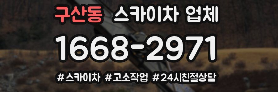 구산동 스카이차 업체