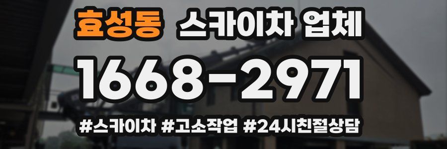 효성동 스카이차 업체