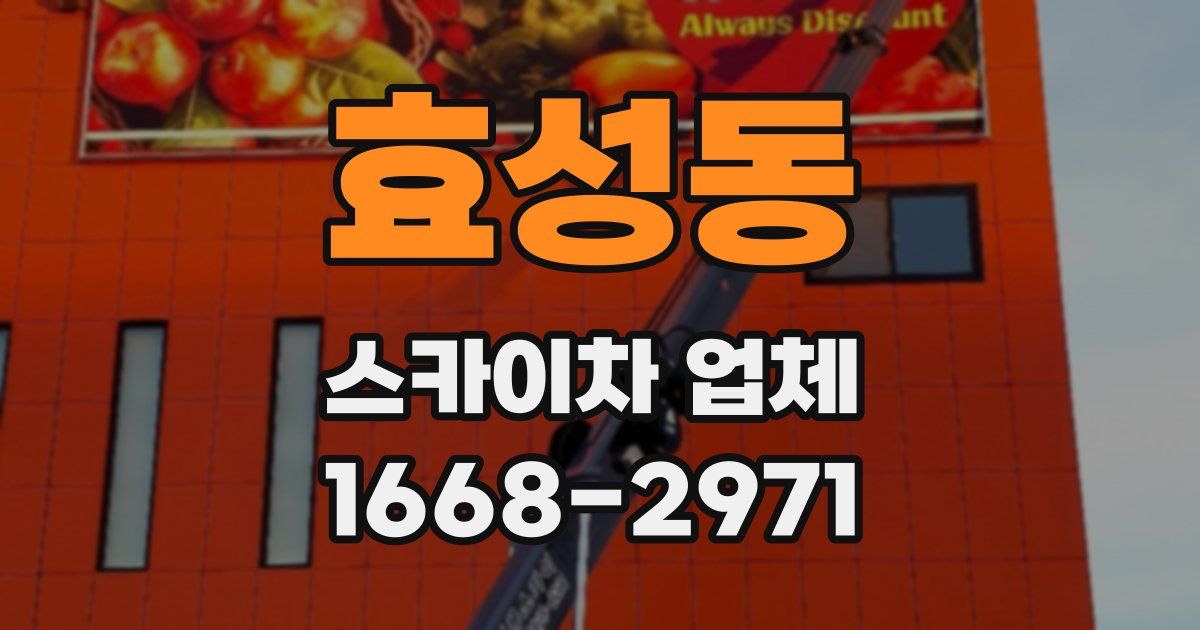 효성동 스카이차 업체